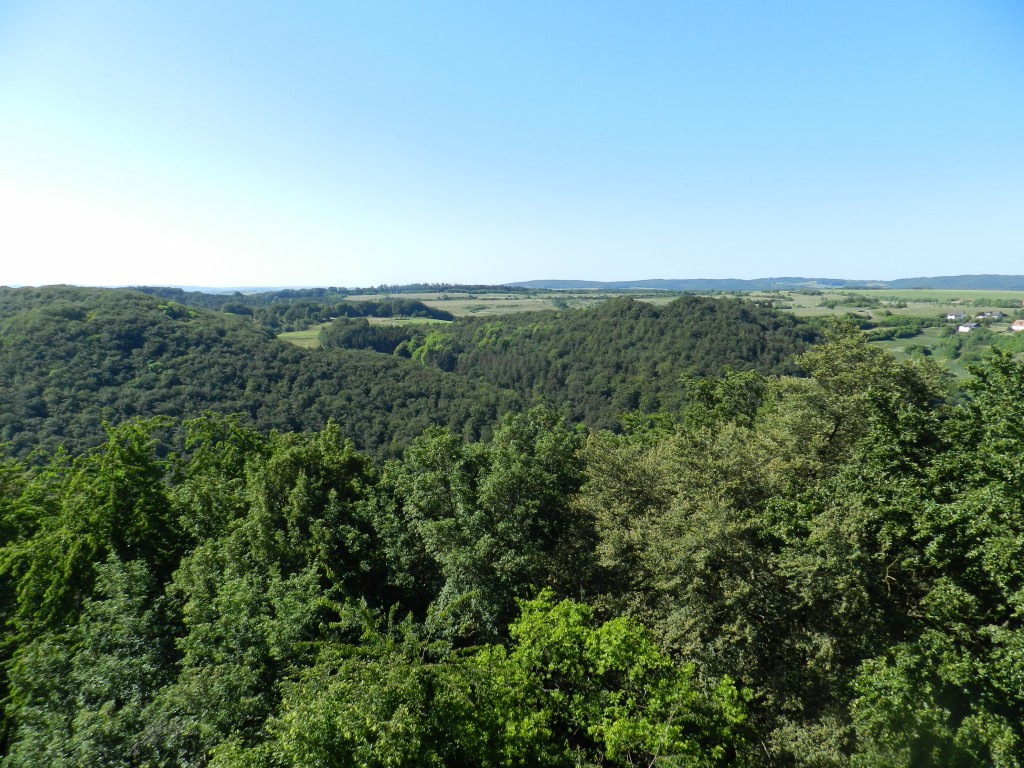sm_DSCN0722.JPG