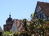 sm_AR_P5257986.JPG
