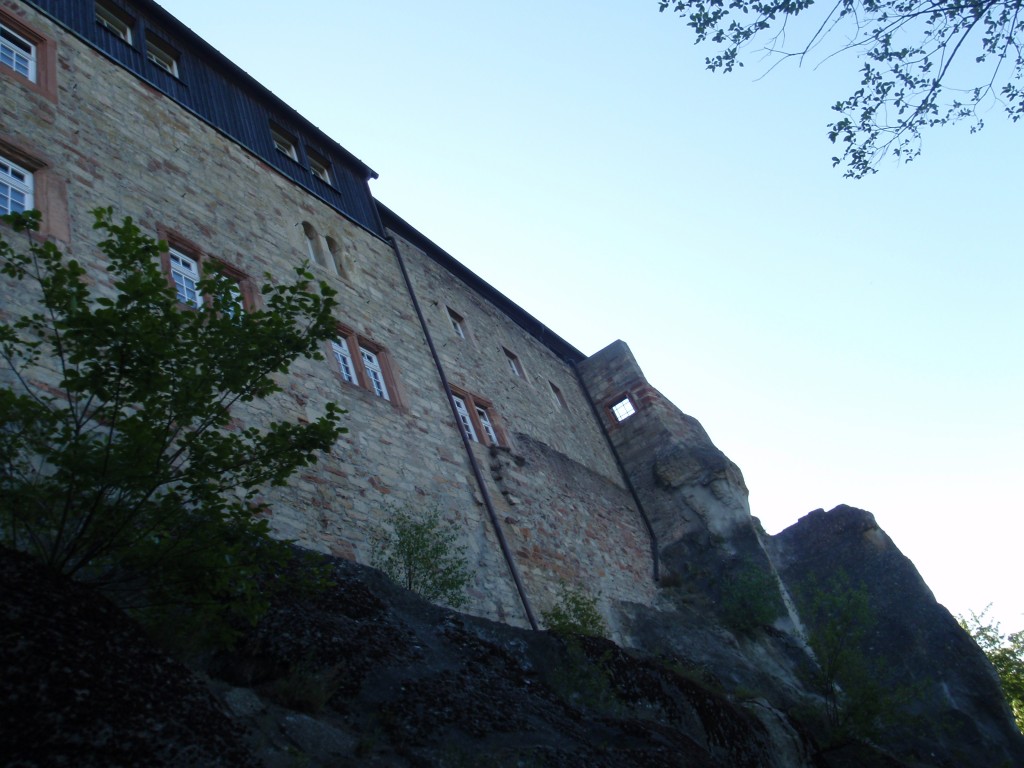 sm_AR_P5258092.JPG