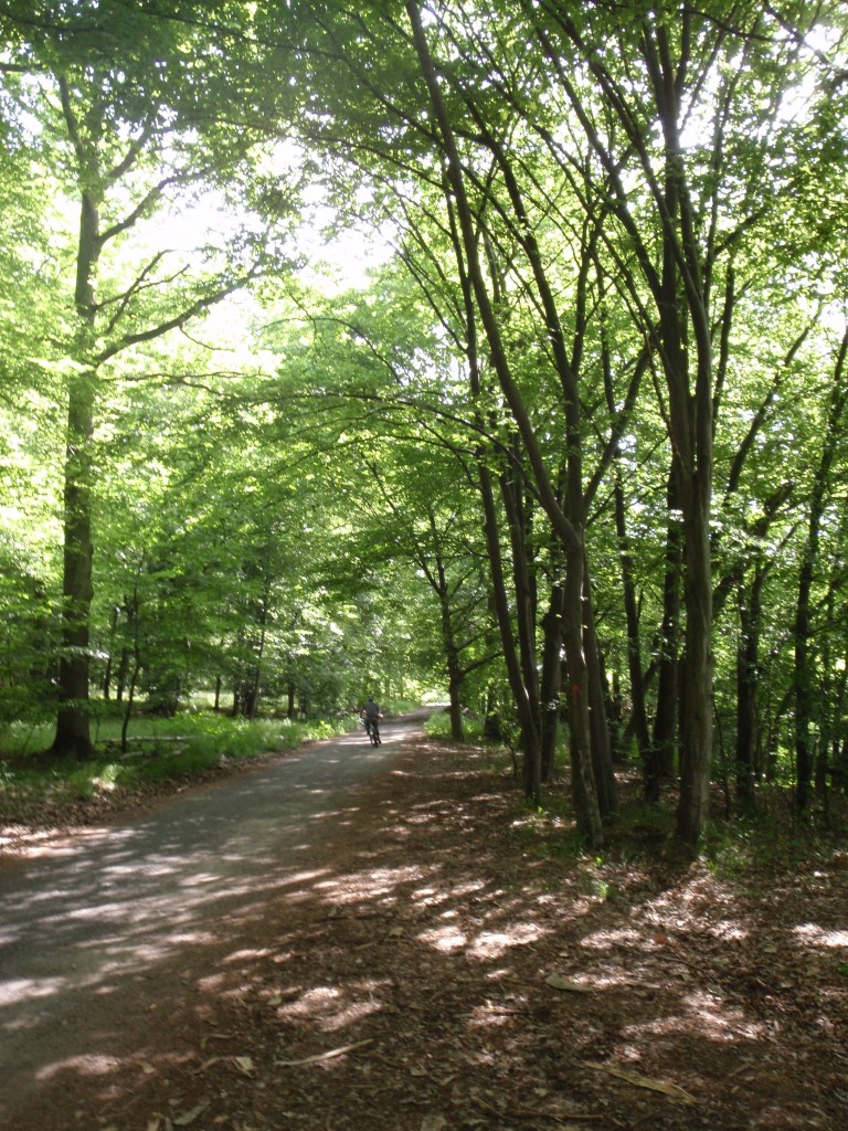 sm_AR_P5268137.JPG