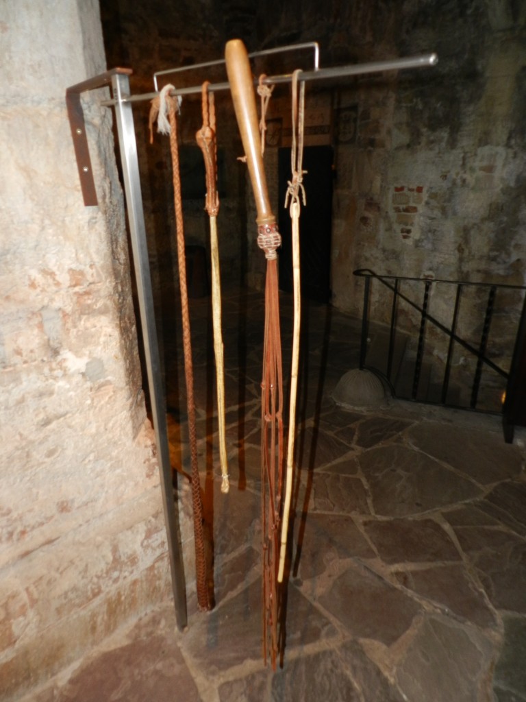 sm_DSCN1503.JPG