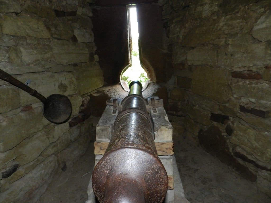 sm_DSCN1523.JPG