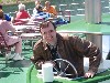 sm_AR_P5268177.JPG