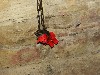 sm_DSCN1563.JPG