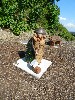 sm_DSCN1629.JPG