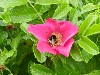 sm_DSCN1682.JPG