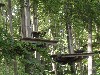 sm_P5268120.JPG