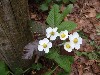 sm_AR_P5278490.JPG