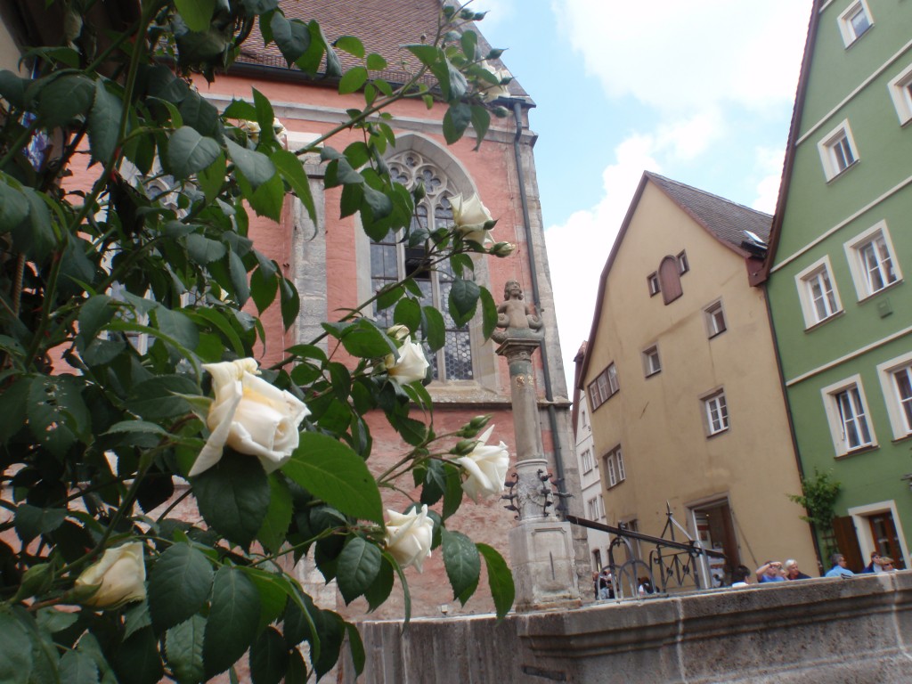 sm_AR_P5288763.JPG