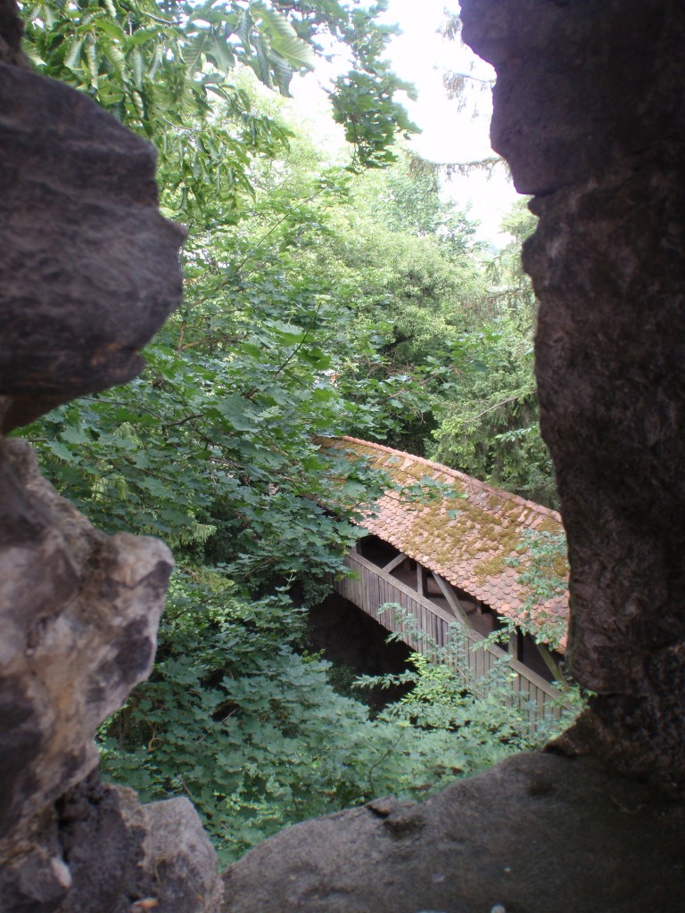 sm_AR_P5288917.JPG