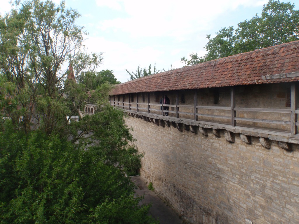 sm_AR_P5288921.JPG