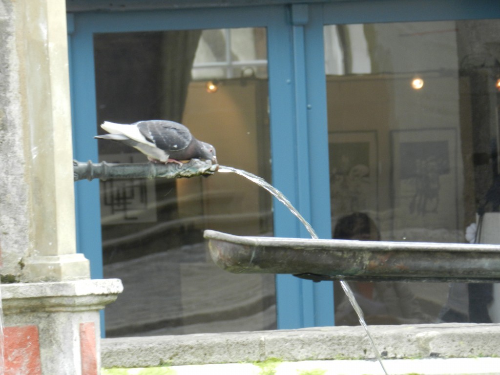 sm_DSCN2560.JPG