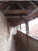 sm_AR_P5288907.JPG