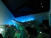 sm_DSCN2664.JPG