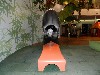 sm_DSCN2826.JPG