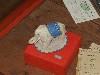 sm_DSCN2828.JPG