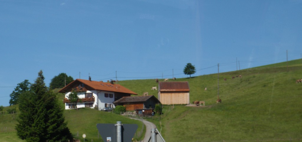 sm_AR_P5309492.JPG