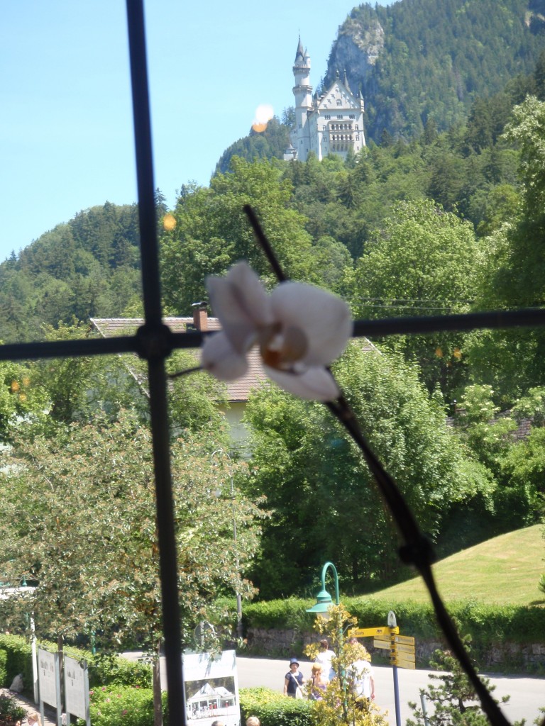 sm_AR_P5309752.JPG