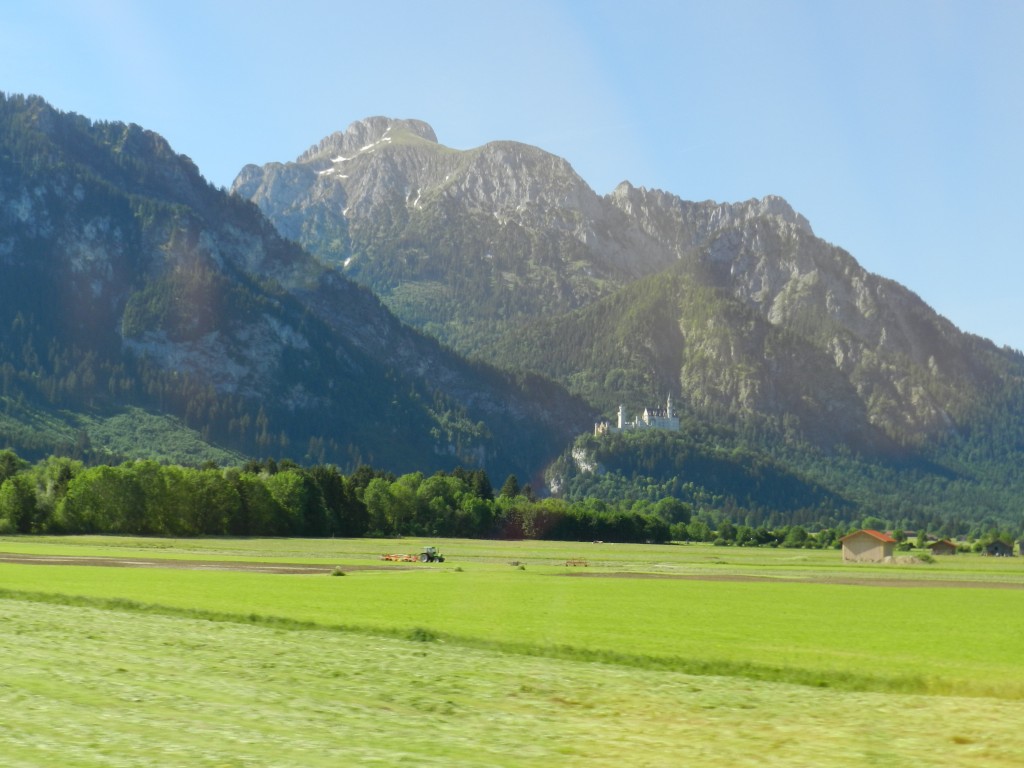 sm_DSCN3107.JPG