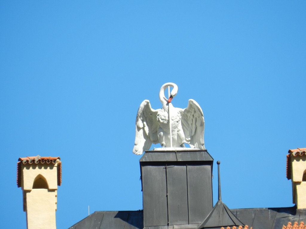 sm_DSCN3123.JPG