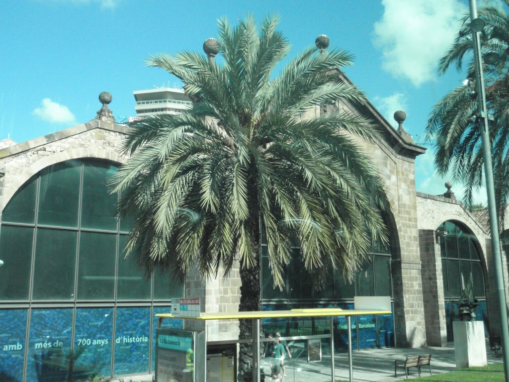 sm_AR_P8270256.JPG
