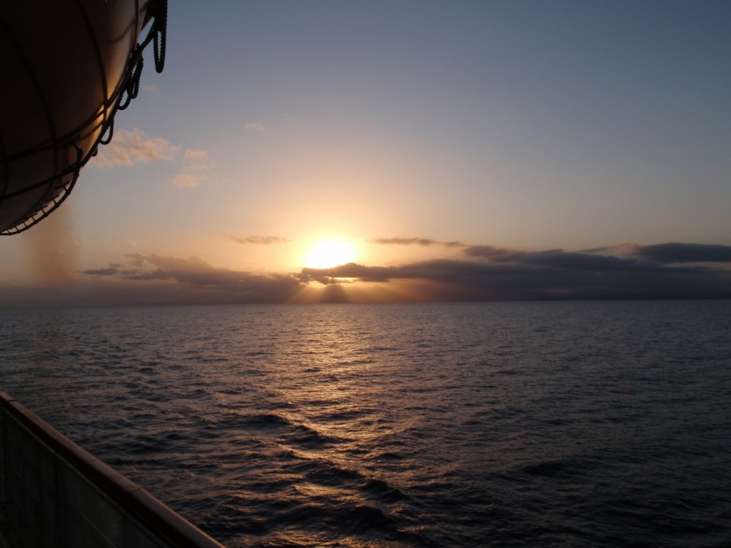 sm_P8278387.JPG