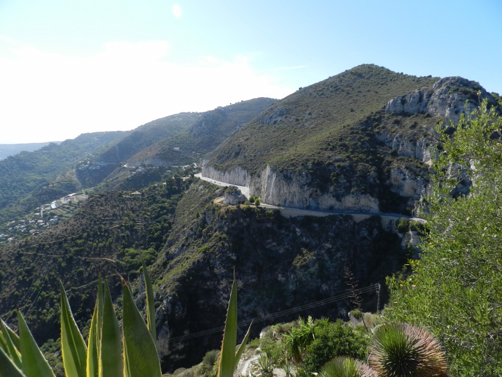 sm_DSCN4550.JPG