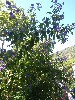 sm_AR_P8280439.JPG