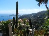 sm_DSCN4521.JPG