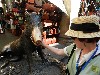 sm_DSCN4859.JPG