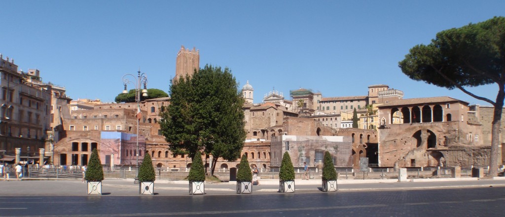 sm_AR_P8301144.JPG