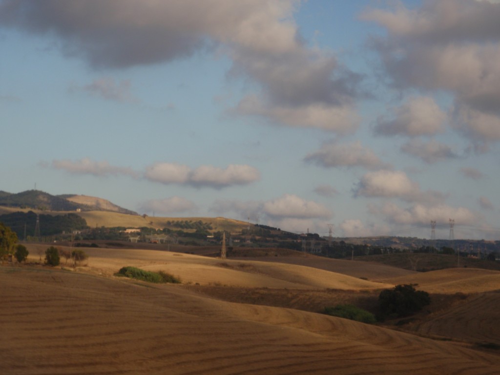 sm_AR_P8301303.JPG