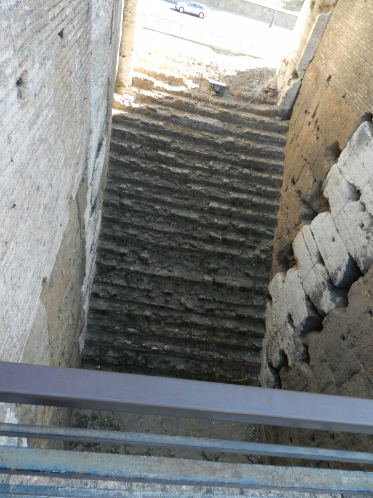 sm_DSCN5546.JPG