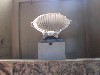 sm_AR_P8300878.JPG