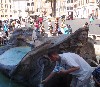 sm_AR_P8301079.JPG
