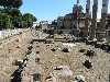 sm_DSCN5444.JPG