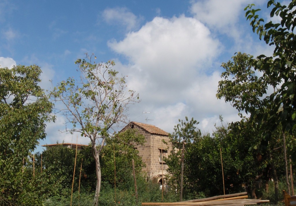 sm_AR_P8311406.JPG