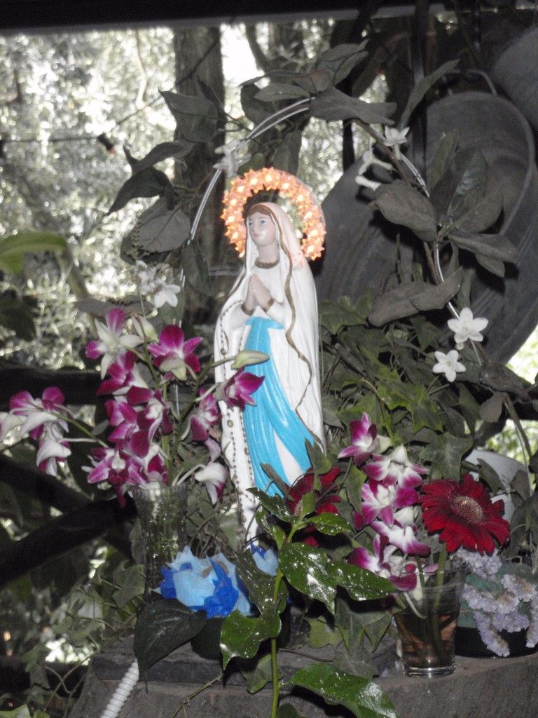 sm_AR_P8311410.JPG