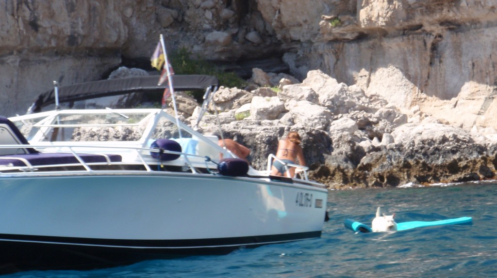 sm_AR_P8311478.JPG