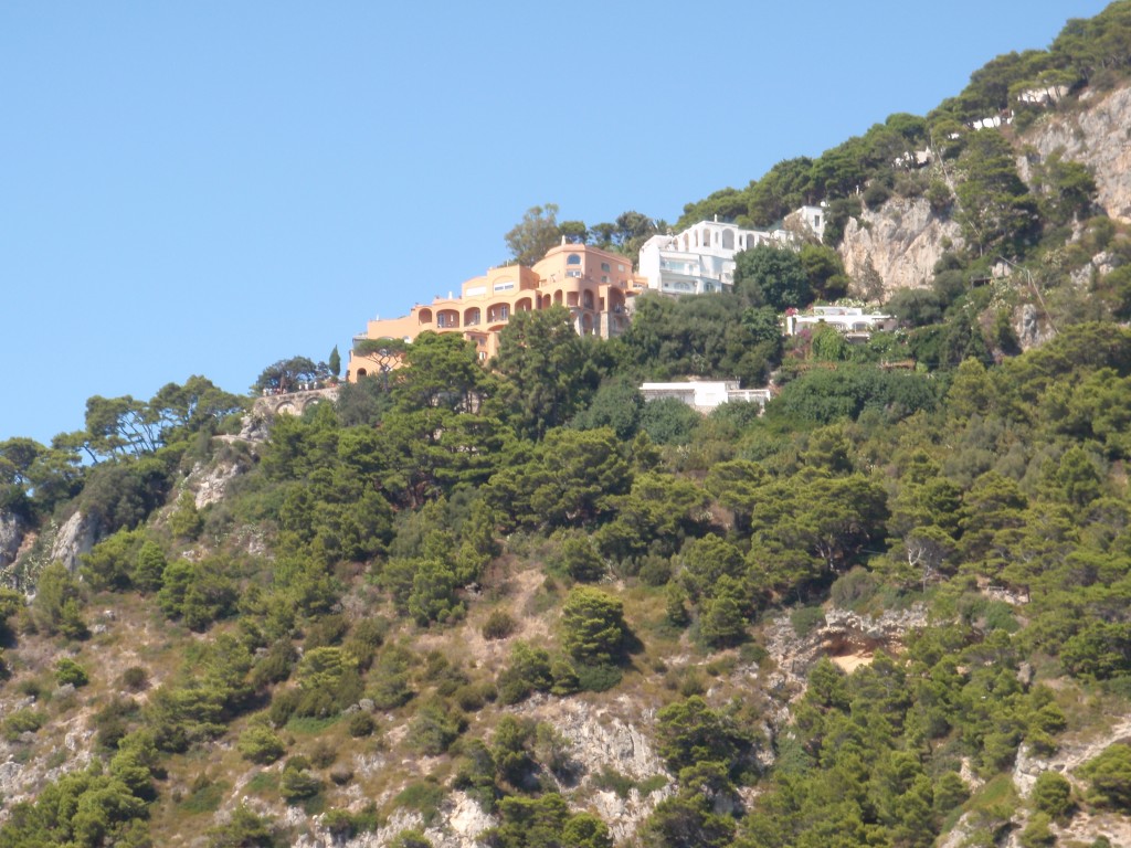 sm_AR_P8311495.JPG