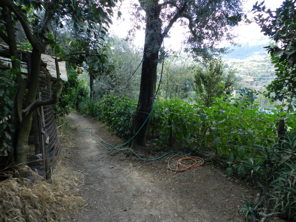 sm_DSCN5740.JPG