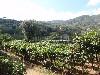 sm_AR_P8311398.JPG