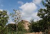 sm_AR_P8311406.JPG