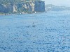 sm_DSCN5671.JPG