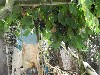 sm_DSCN5733.JPG