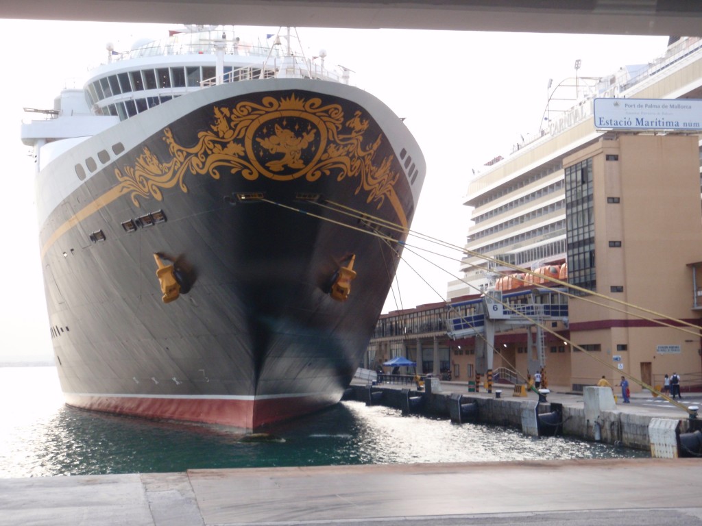 sm_AR_P9021539.JPG