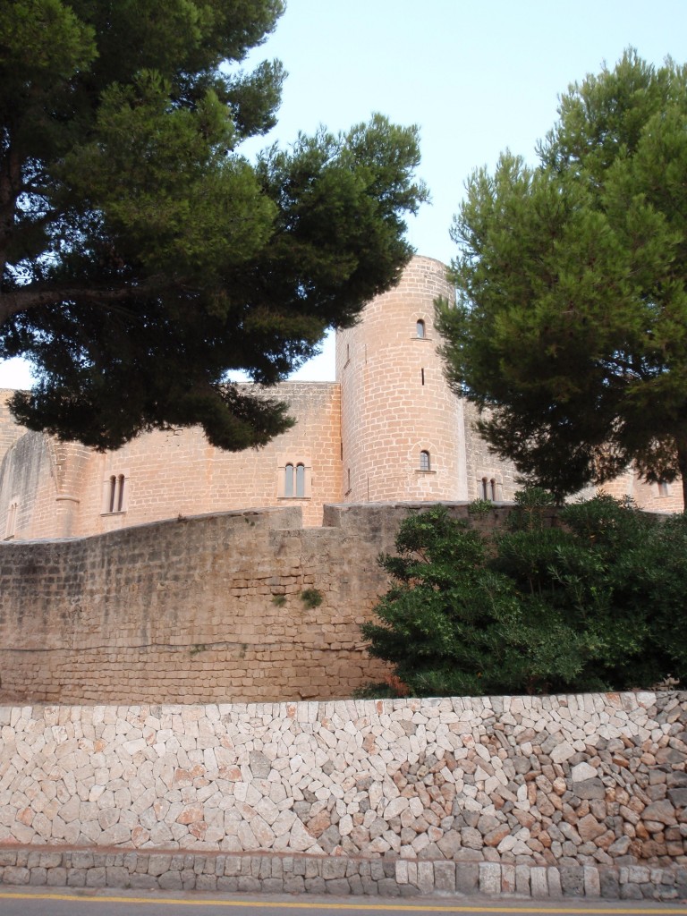 sm_AR_P9021557.JPG