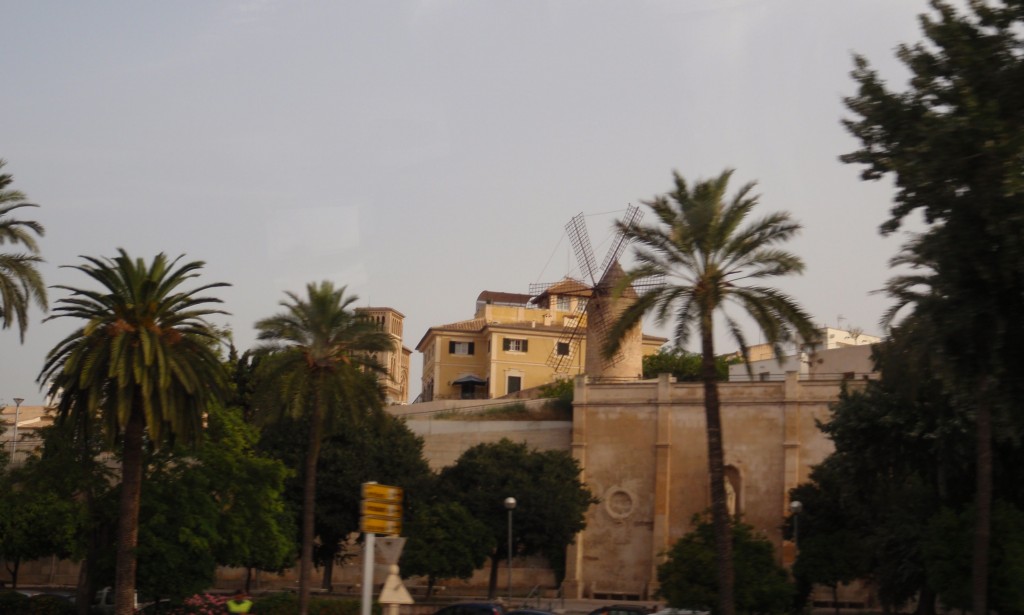 sm_AR_P9021575.JPG