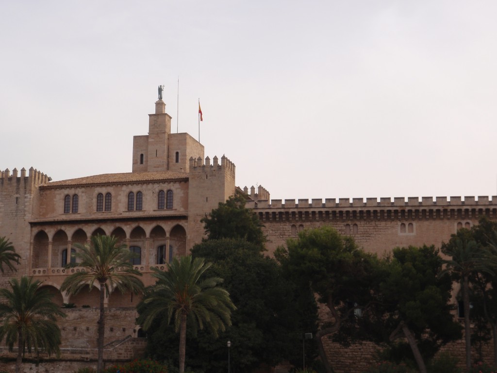 sm_AR_P9021591.JPG