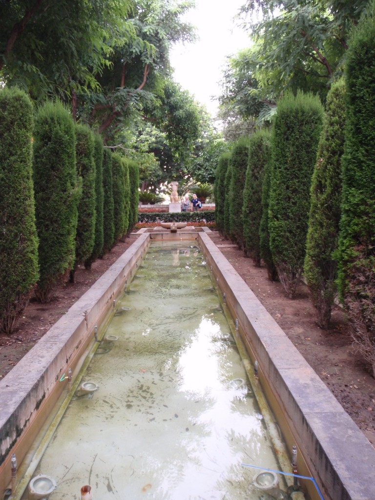sm_AR_P9021616.JPG